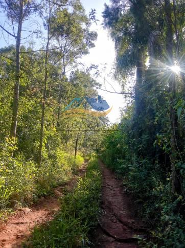 Área, 65000m², à venda em Dois Irmãos, Moinho Velho