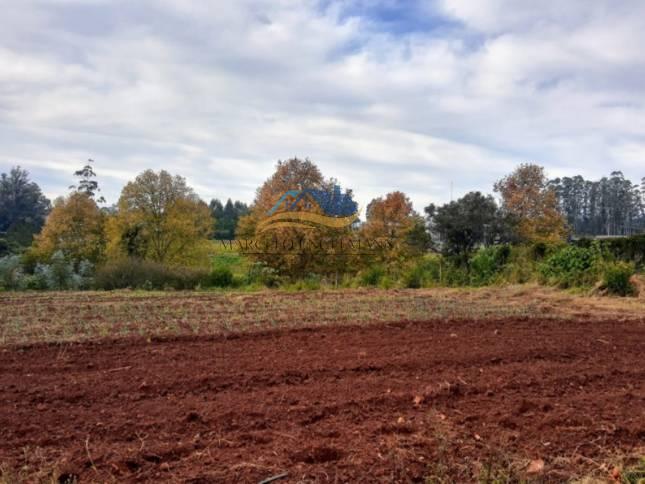Área, 10000m², à venda em Dois Irmãos, Travessão