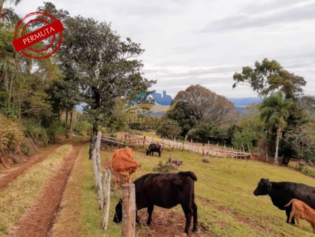 Chácara à venda em Dois Irmãos, Travessão, 188000m² - Marcelo Engelmann Corretor de Imóveis