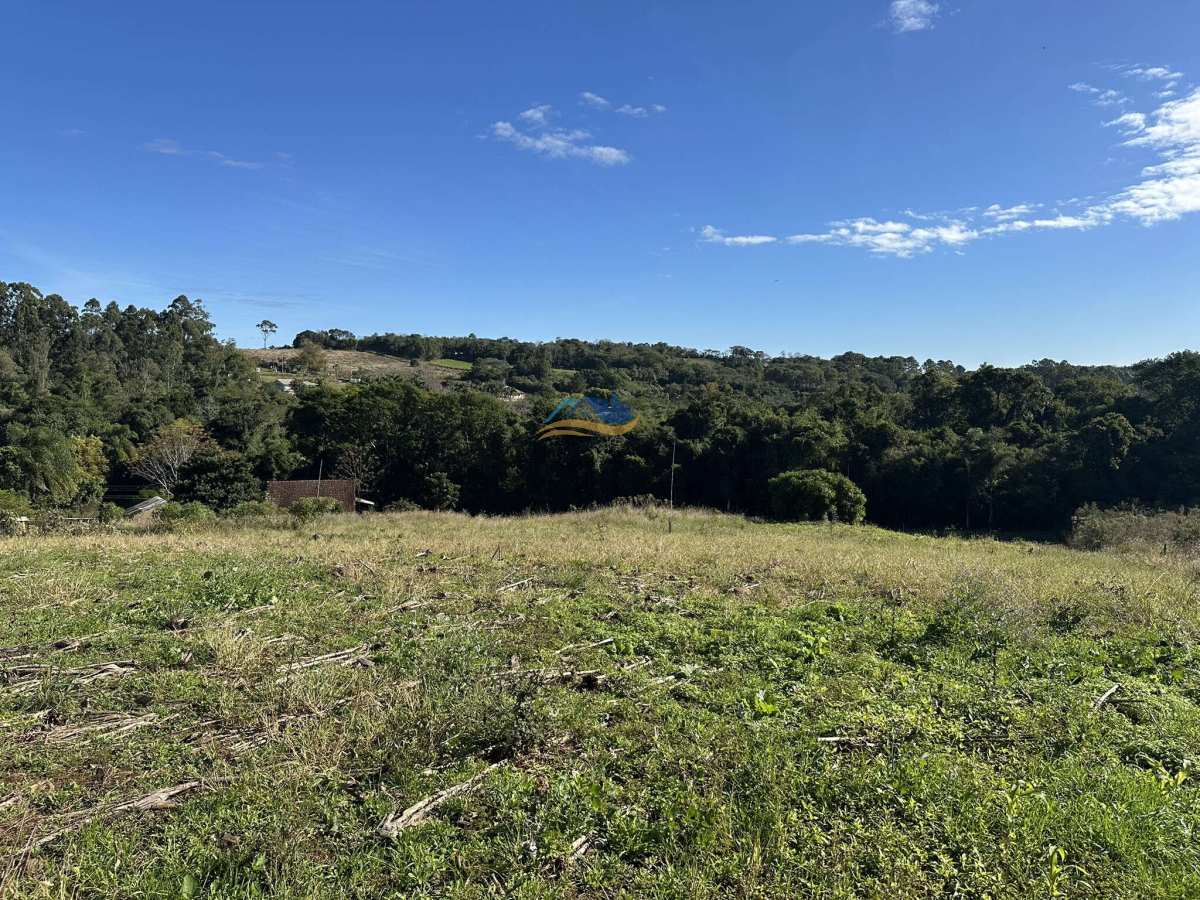 Chácara à venda próximo a Divisa de Dois Irmãos e Novo Hamburgo, no bairro Travessão, 2.000m²