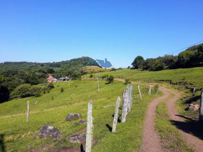 Chácara com 5 quartos, 90000m², à venda em Dois Irmãos, Travessão - Marcelo Engelmann Corretor de Imóveis