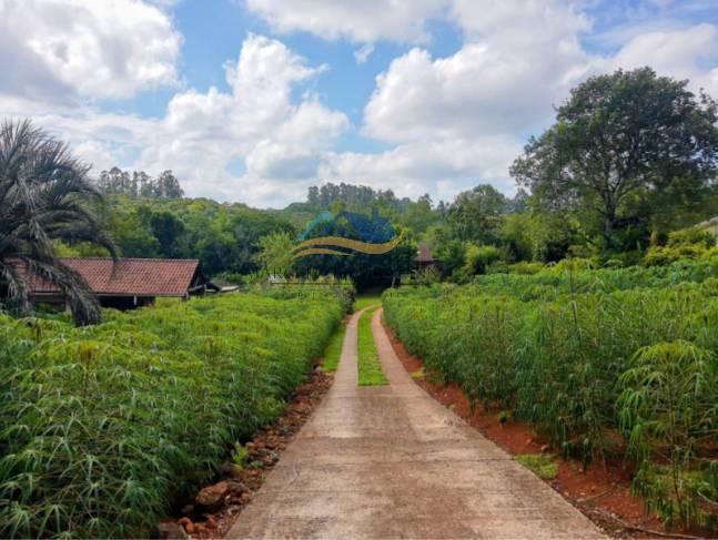 Sítio com 2 quartos, 4125m², à venda em Dois Irmãos, Travessão